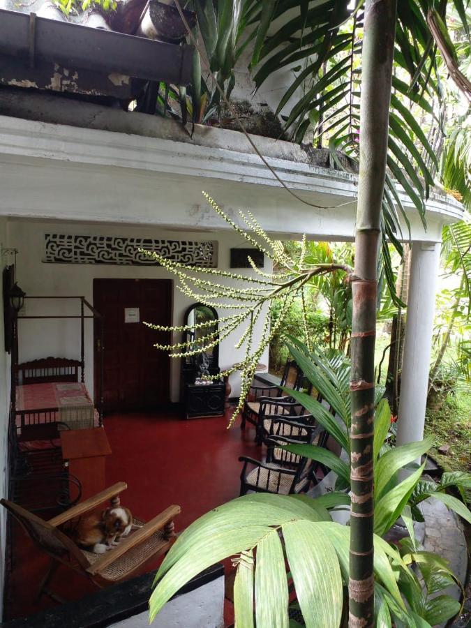 Traditional Kandyan House エクステリア 写真