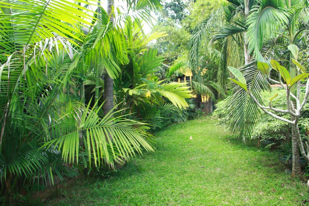 Traditional Kandyan House エクステリア 写真